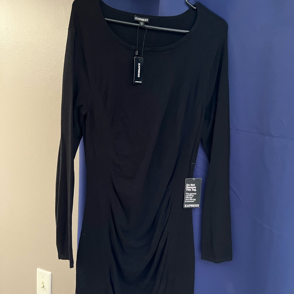 BRAND NEW WITH TAGS! Express Black Long Sleeve Fitted Front Rouged Dress.